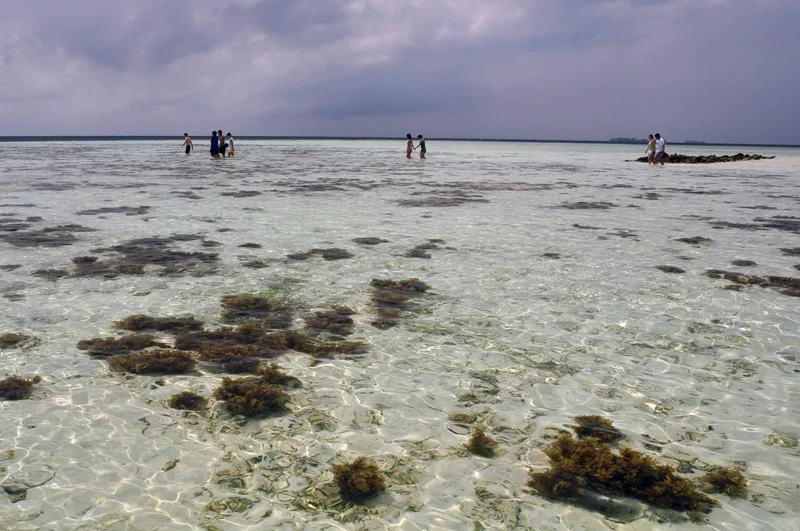 Küstenwasser und Riff auf Karimunjawa