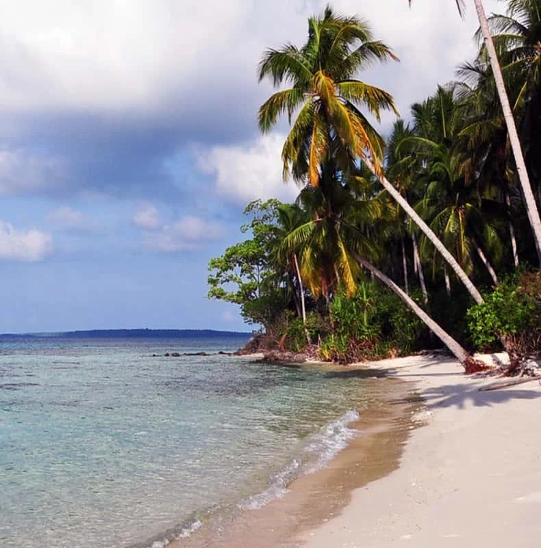 Palmenstrand aus der Galerie der Karimunjawa-Reise ab Semarang